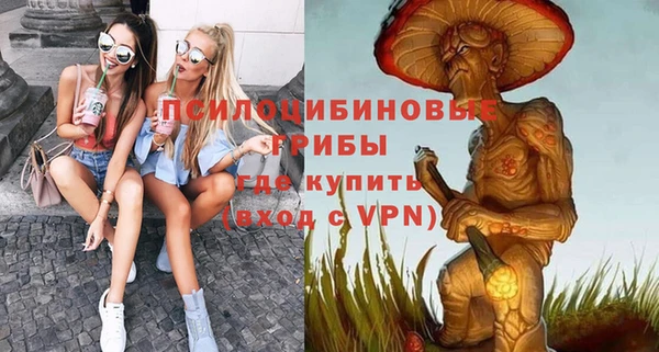 прущие грибы Зерноград