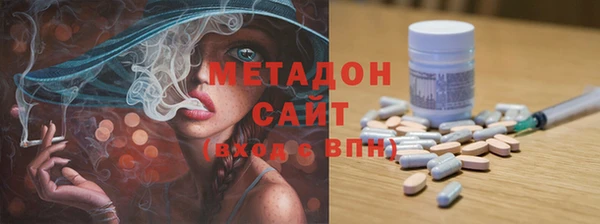 прущие грибы Зерноград