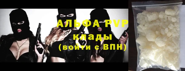прущие грибы Зерноград
