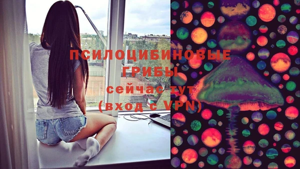 твердый Зеленокумск