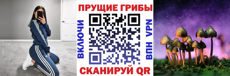 Галлюциногенные грибы MAGIC MUSHROOMS  Купить где  Закаменск 
