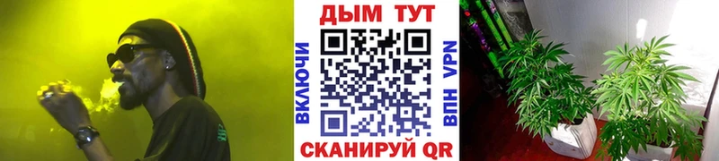 Бошки марихуана гибрид Закаменск